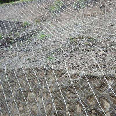 hot dip galvanized steel wire netting